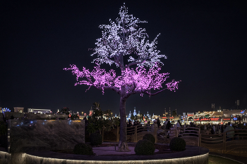 Light Tree / ***
