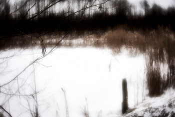 Circle / ***