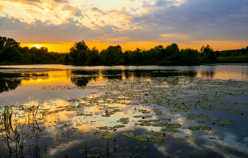 Summer evening. / ***