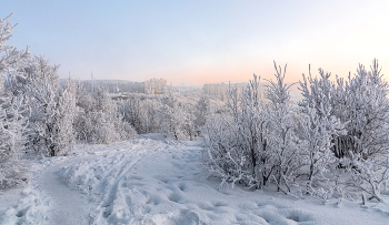Frosty freshness / ***