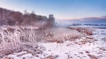 Winter morning / ***