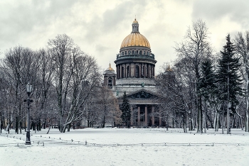 Winter in St. Petersburg / ***
