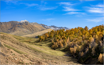 Autumn / ***