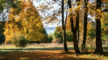 Rendezvous with the fall / ***