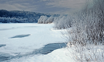 Winter sleep. / ***