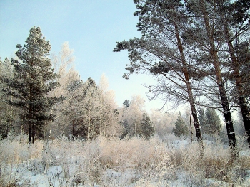 Winter road / ***