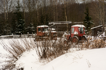 Life around / ***