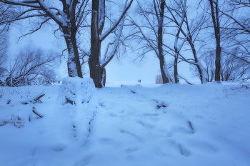 After snowfall / ***