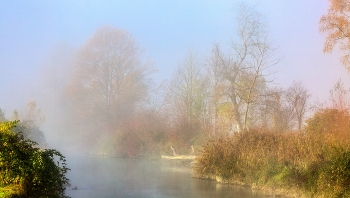 Nebel am Morgen / morgennebel am fluss