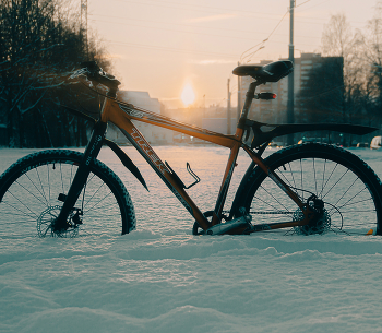 Bathing of red horse / ***