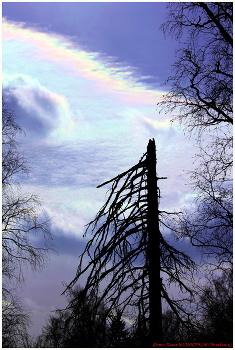 Iridescent cloud / ***