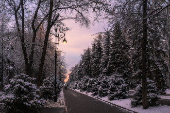 It was getting dark ... / ***