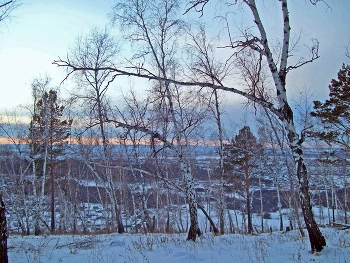winter / ***