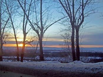 winter / ***
