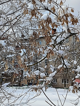 Snow in March. / " " "