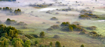 Fog dissipates / ***