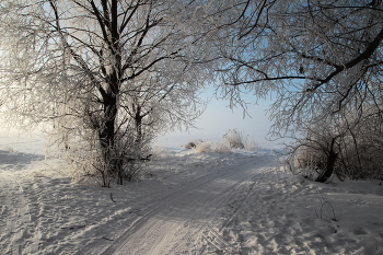 Fabulous morning / ***