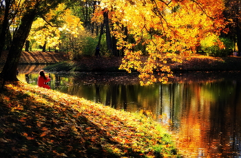 Autumn Pond / ***