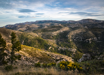 Mountain panorama / ***