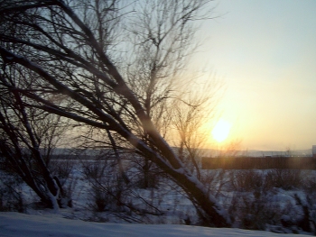 winter / ***