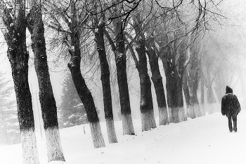 Alone in the park / ***