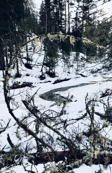 Berendeevo kingdom / ***