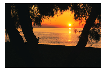 Sunrise / ***