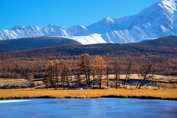 Gorny Altai. / ...