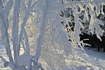 Winter etude / ***