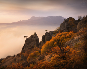 Autumn in the Valley of Ghosts / ***