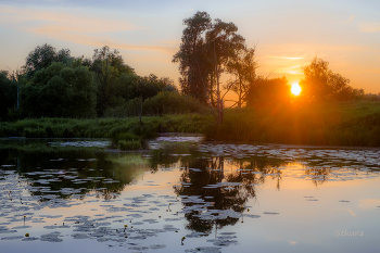 Evening / ***