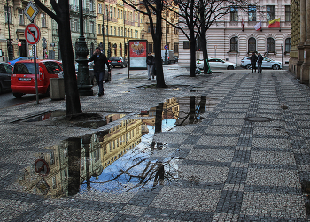 puddle / ***