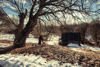 Life around / ***