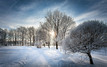 In Winter Park ... / ***