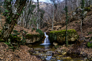 Spring in the mountains / ***