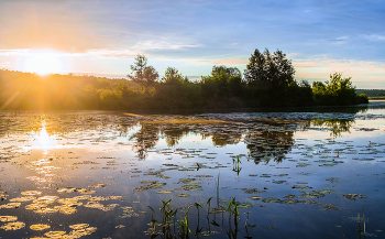 Dawn on the lake. / ***