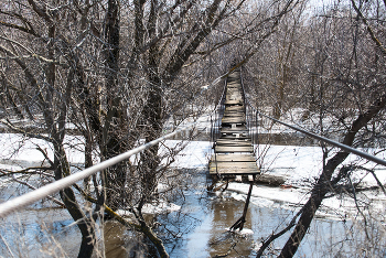 Bridge / ***
