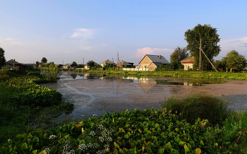 Siberian backwoods / ***