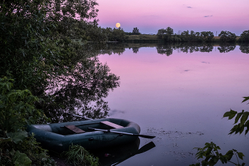 Lilac evening / ***