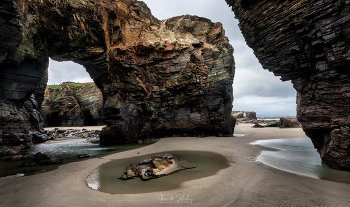 Low tide / ***