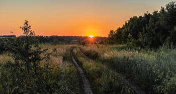 Summer evening. / ...