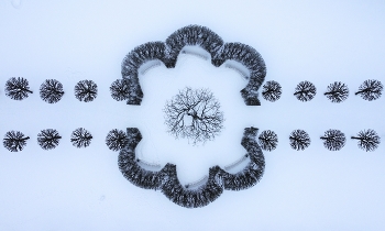 Winter square / ***