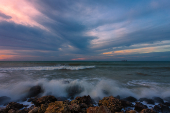 surf / ***