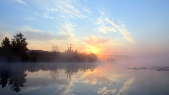 Morning / ***