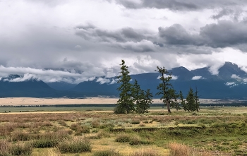 After the rain / ***