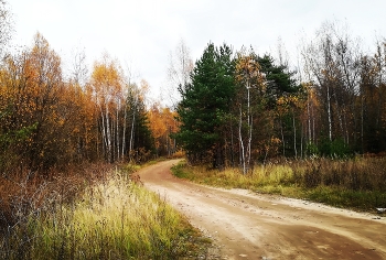 Autumn road / ***