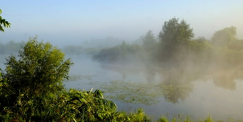 Fog at dawn. / ***