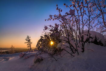 the morning sun / ***