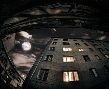 Full moon / ***