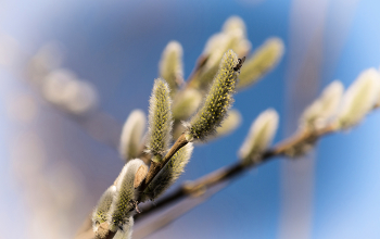 Spring. / 02-04-2023.
